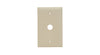 Legrand Pass & Seymour® TradeMaster® 1-Gang Nylon Wall Plate, 0.625-in Round Opening