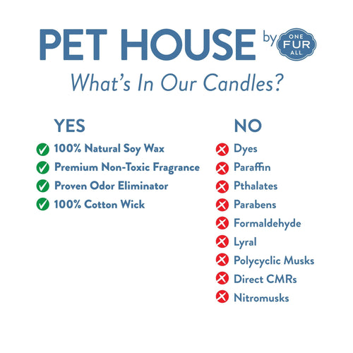 Pet House Silver & Gold Candle