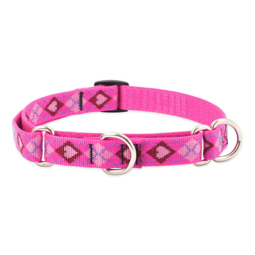 Lupine Pet Original Designs Martingale Training Collar