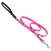 Lupine Pet Original Designs Padded Handle Dog Leash