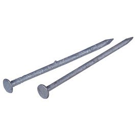 Spike Nail, Hot Dipped, Galvanized, 5-Lb., .375-In. x 12