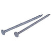 Bright Spike Nails, 50-Lb. 3/8-In. x 8