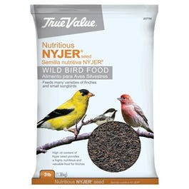 Wild Bird Seed, Nyjer Thistle, 3-Lbs.