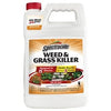 Weed & Grass Killer, 1-Gallon Concentrate