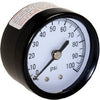 Water Pressure Tank Gauge, .125-In. Back Mount, 100-Lbs.