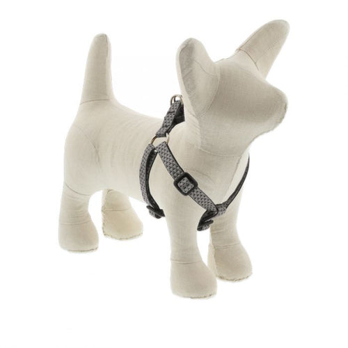 LupinePet Eco Step In Dog Harness