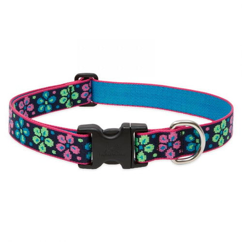 Lupine Pet Original Designs Dog Collar