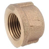 Pipe Fitting, Rough Brass Pipe Cap, Lead-Free, 1/8-In.