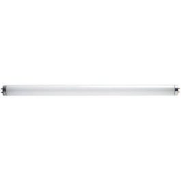 15-Watt Cool White Miniature Fluorescent Tube