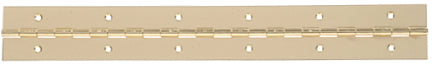 48X1-1/16  BRASS PLATED CONT HINGE