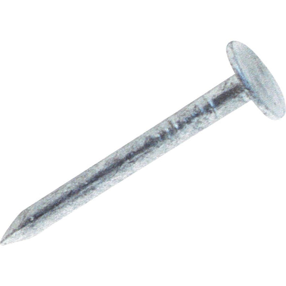 Grip-Rite 1-1/2 In. 11 ga Hot Galvanized Roofing Nails (5400 Ct., 30 Lb.)