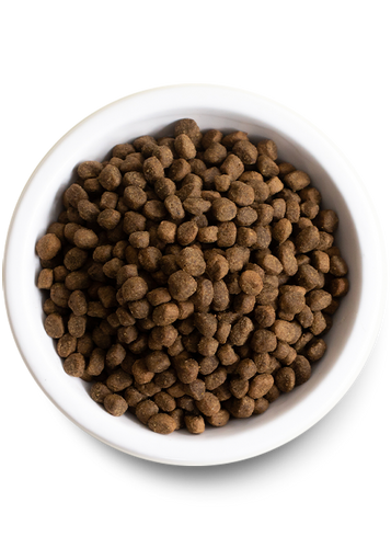 Open Farm Grass-Fed Beef Grain-Free Dry Dog Food