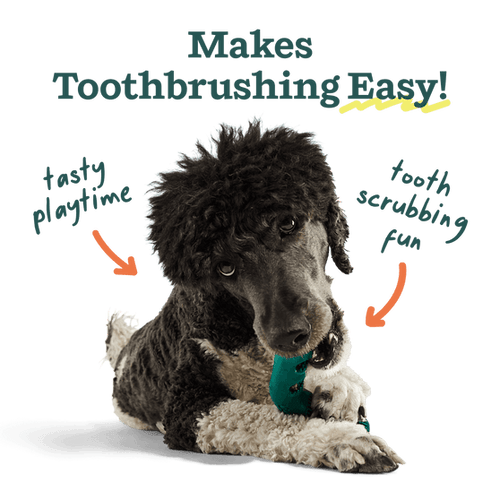 Woof Bite n' Brush Refills Dog Toy