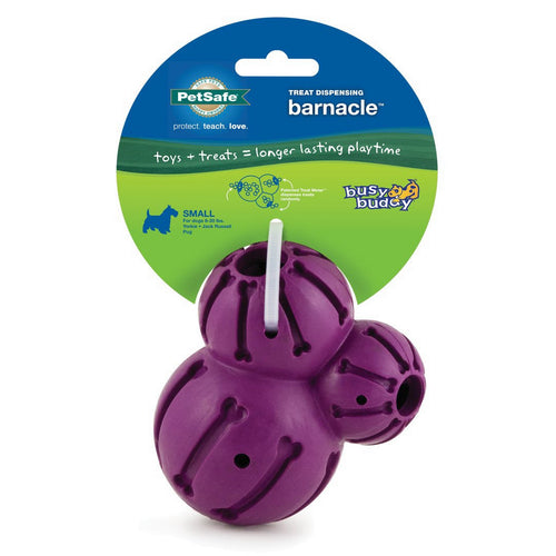 Petsafe Busy Buddy® Barnacle