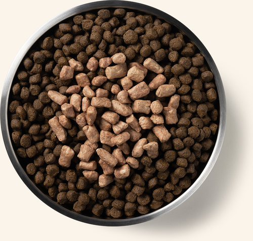 Vital Essentials Freeze Dried Raw Protein Mix-In Chicken Recipe Mini Nibs Topper for Dogs