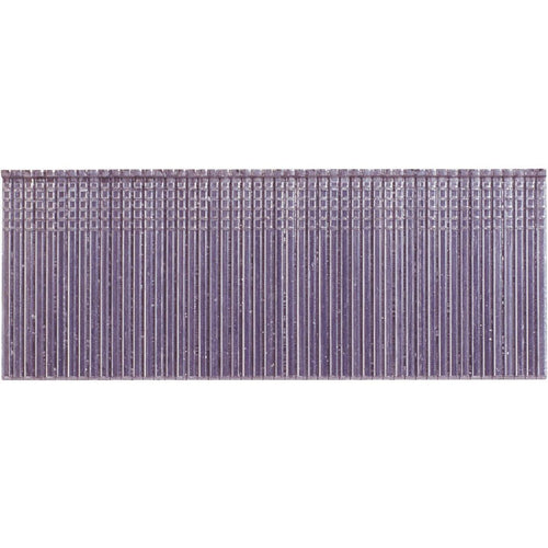 Grip-Rite PrimeGuard Max 16-Gauge 304-Stainless Steel Straight Finish Nail in Resealable Belt-Clip Box, 2 In. (1000 Ct.)