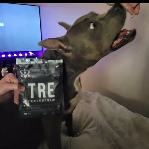 Operation Good Boy TRE: Sergeant Snacks Dog Treats