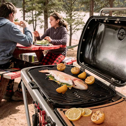 Weber Traveler® Portable Gas Grill