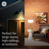 GE Ultra Bright LED 150 Watt Replacement Warm White PAR38 Outdoor Floodlight Bulb