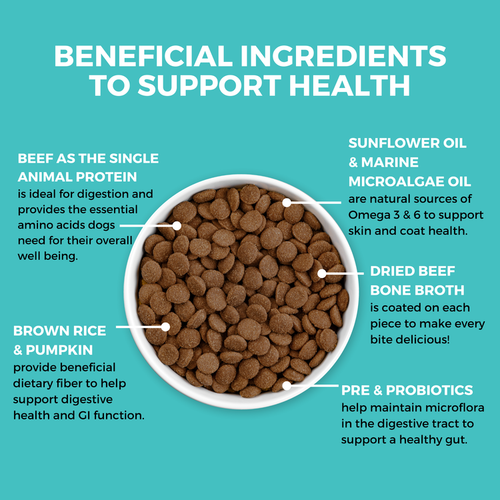 Koha Limited Ingredient Dry Bland Diet Beef & Brown Rice Recipe with Pumpkin for Dogs