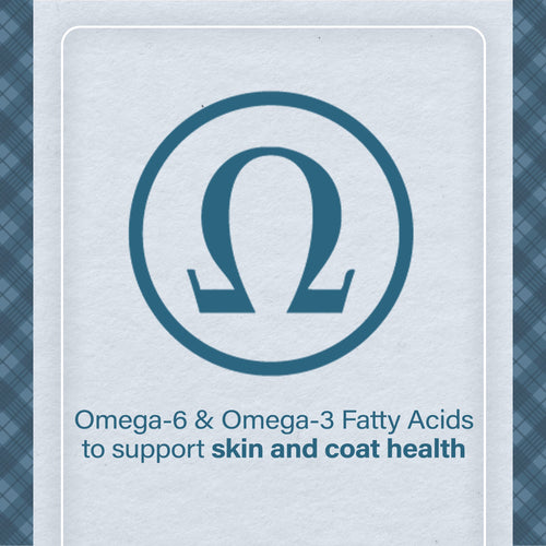 Nutrena® Loyall Life® Advanced Solutions Sensitive Skin & Coat Salmon & Oatmeal Recipe Adult Dog Food