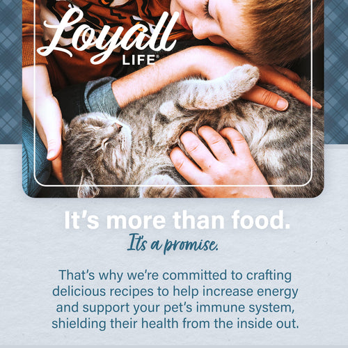 Nutrena® Loyall Life® Cat & Kitten Chicken Recipe