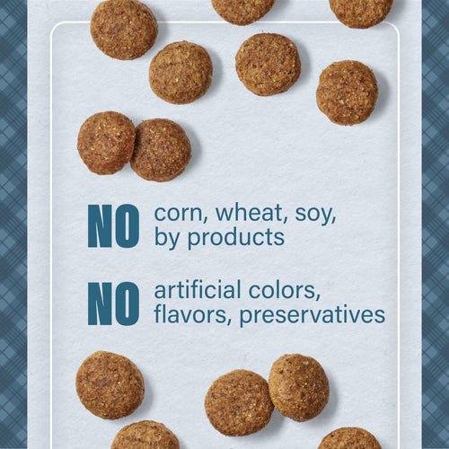 Nutrena®Loyall Life® Large Breed Chicken & Brown Rice Recipe Adult Dog Food