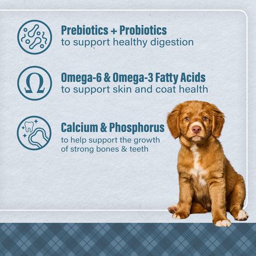 Nutrena® Loyall Life® Puppy Chicken & Brown Rice Recipe Dog Food