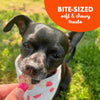 Cloud Star Buddy Biscuits Soft & Chewy Treats: Peanut Butter