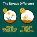 Spruce 10oz EZ-AIM Weed & Grass Killer