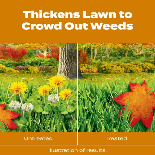 Scotts® Turf Builder® WinterGuard® Fall Weed & Feed₅