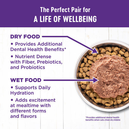 Wellness Complete Health Natural Kitten Grain Free Deboned Chicken and Chicken Meal Dry Cat Food