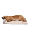 Territory Lounger Dog Bed