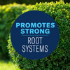 BioAdvanced Shrub Care Protect & Feed Granules
