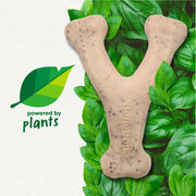 Benebone Green Wishbone Plant-Based Dog Toy for Moderate Chewers