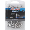 Channellock 3/16 In. Dia. x 1/4 In. Grip Aluminum Multigrip POP Rivet (50-Pack)