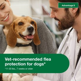 Advantage II Medium Dog Vet-Recommended Flea Treatment & Prevention