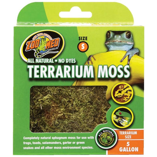 TERRARIUM MOSS