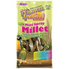 TROPICAL CARNIVAL NATURAL MINI SPRAY MILLET