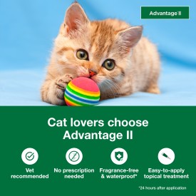 Advantage II Kitten Flea Treatment & Prevention